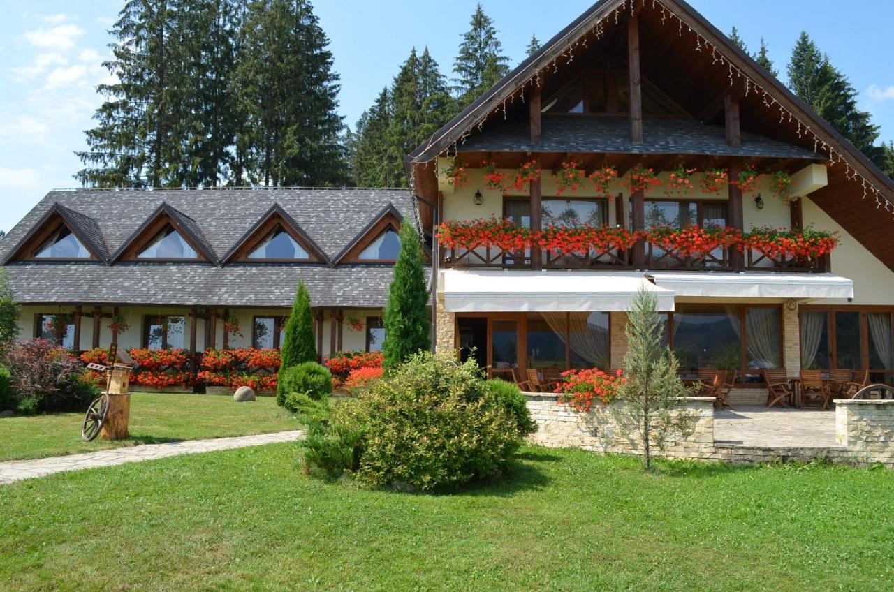 Pensiunea Inima Bucovinei Frasin Buitenkant foto